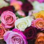 Rosenstrauß: Schöne Rosen im eigenen Garten!